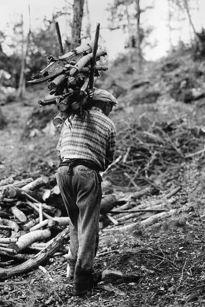  Image name: 09 Carbonai.jpg 
 width: 400 pixel 
 height: 598 pixel 
 Size: 49482 bytes 
 Click to enlarge 